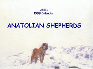 1999 Calendar Winner