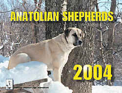 2004-Cover