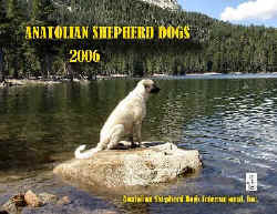 2006-calendar