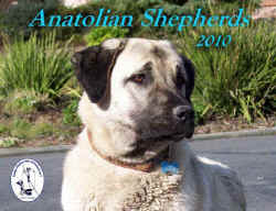 2010 Anatolian Calendar
