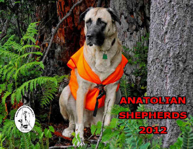 2012 Calendar Cover - ASDI