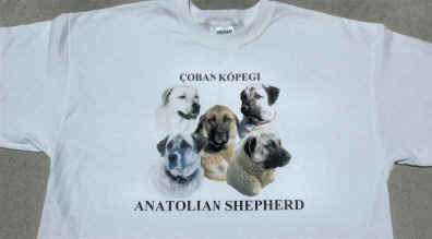Anatolian Shepherd Dog Tshirt Design