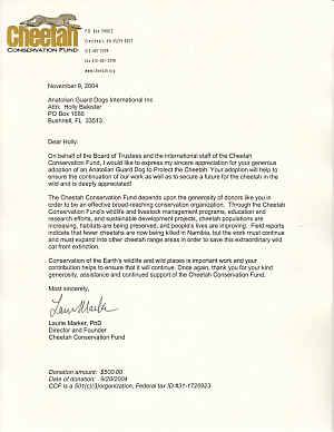Letter from CCF- Laurie Marker