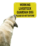 Come see our Livestock Guardian Dog Signs