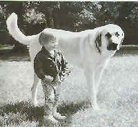 Duke with a friend