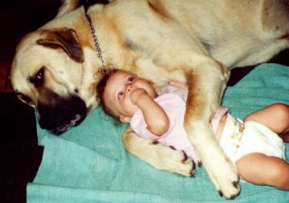 [ Bubba with Maureen Charnstrom's granddaughter ]