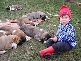 [ Puppies and Sara - Marek Mostyn - Czech Republic ]