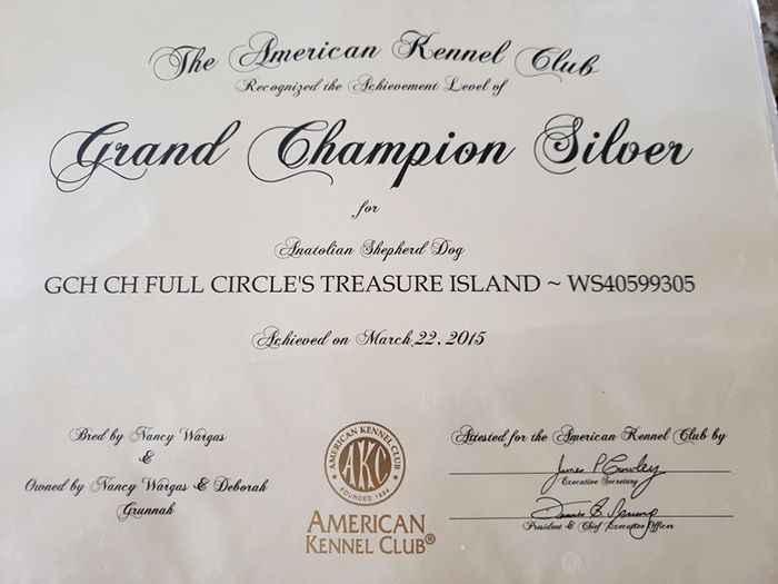 Treasure's Silver GCH Certificate