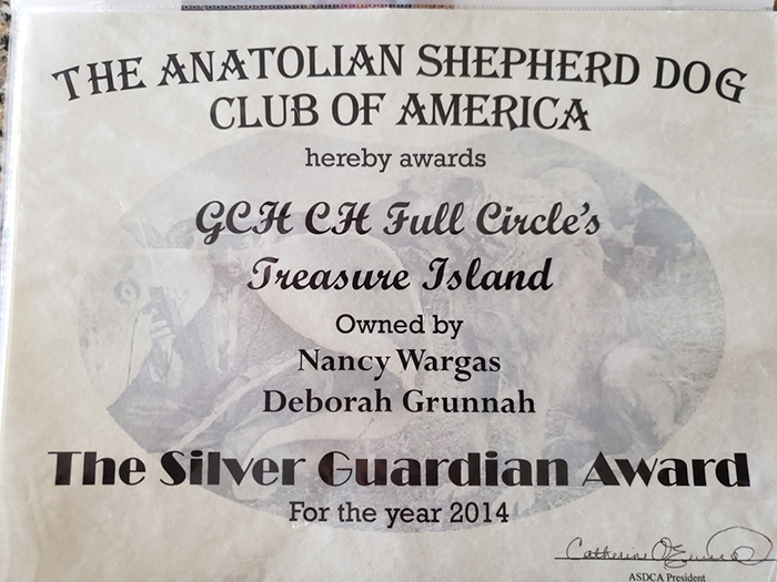 Treasure's Silver Guardian Certificate