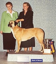 Best of Breed