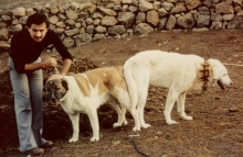 Akus & Mekki with Shepherd