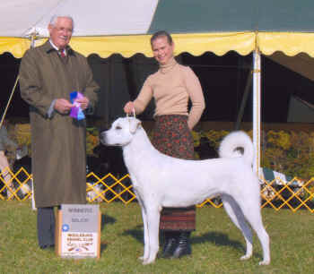 [ Full Circle's Snow Rose (Aspen), 6 months ]