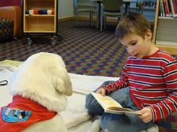 Indy, Therapy Dog, at the Library