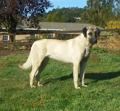 Val at one year.