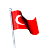 it-flag.gif (16146 bytes)