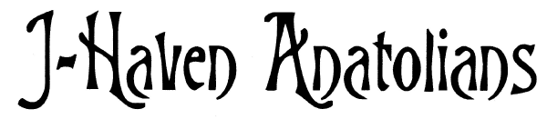 jhn-logo.jpg (97484 bytes)