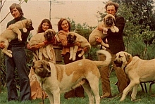 Mektup and Yali with their litter