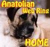 [Web-ring home, Ten Bears]